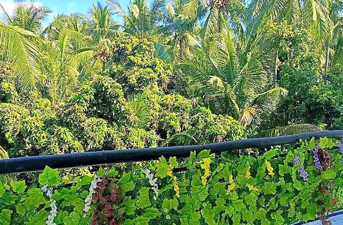 Skylodge 5* バリ島